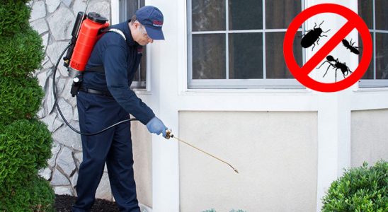 Sivaslı Kene İlaçlama böcek ilaçlama ve haşere kontrolü — ilaclama-tr.com